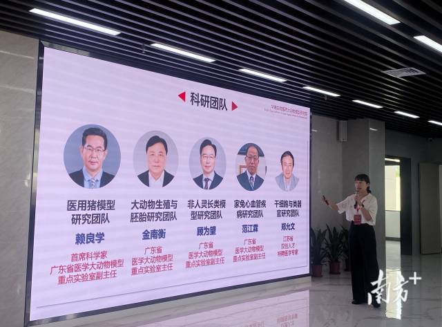 大動物模型研究院現擁有5支團隊,分別由賴良學、金南衡、范江霖、鄭允文等生物醫藥領域權威專家帶領。 大動物模型研究院現擁有5支團隊,分別由賴良學、金南衡、范江霖、鄭允文等生物醫藥領域權威專家帶領。